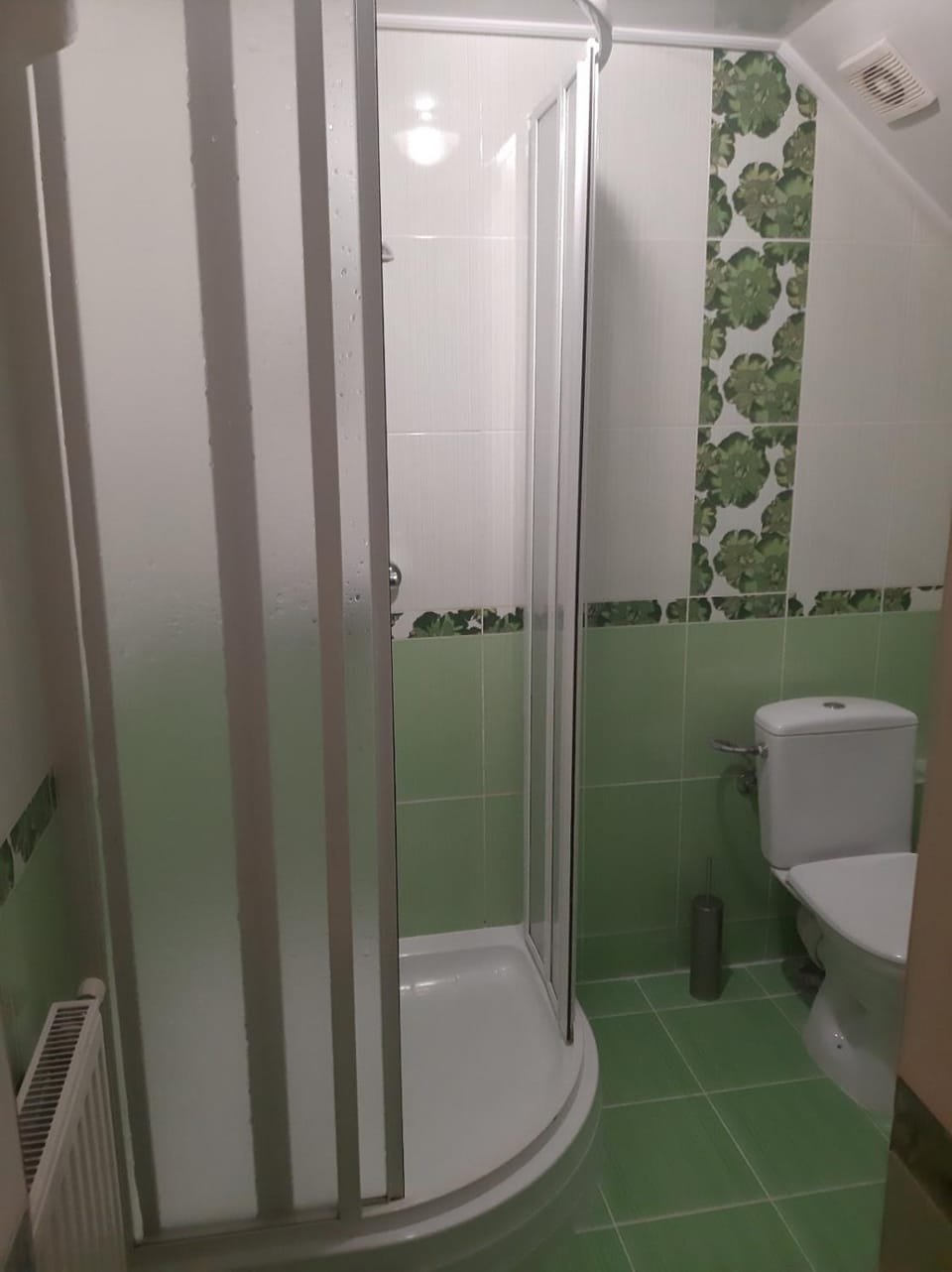 Shower, Toilet