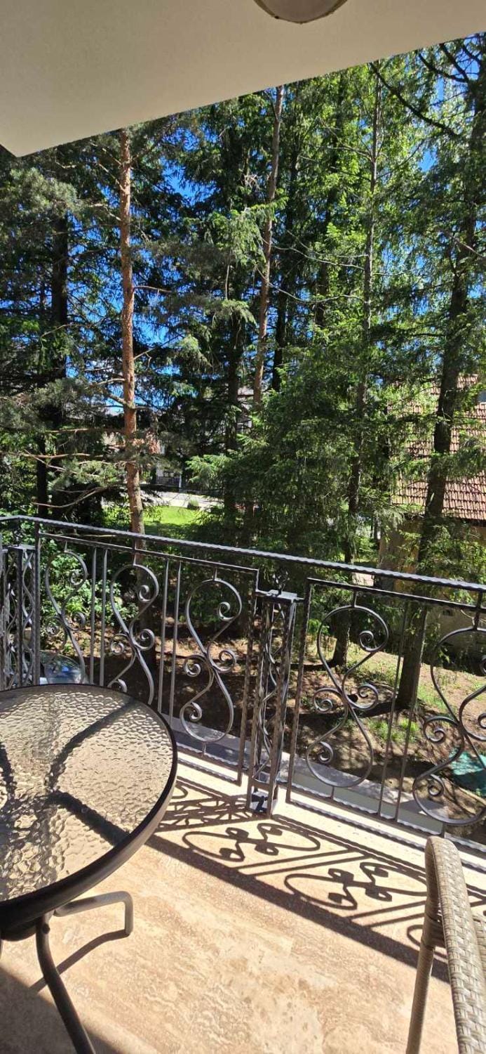 Аpatmani Zlatni Grozd Apartment in Zlatibor