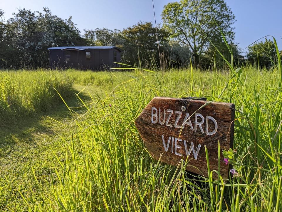 Natural landscape, Garden view