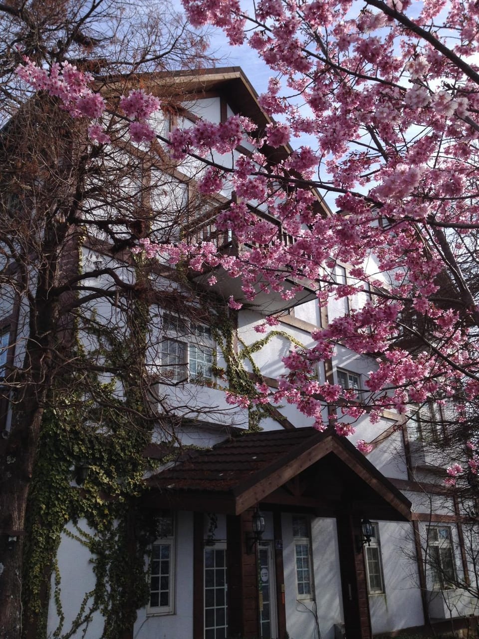 Property building, Day