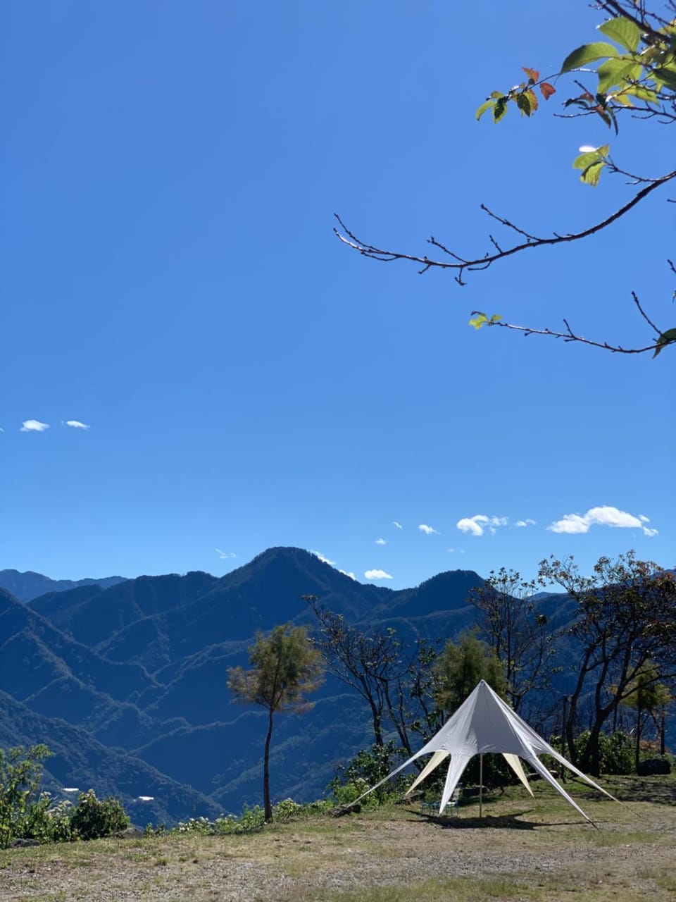 Garden, Mountain view