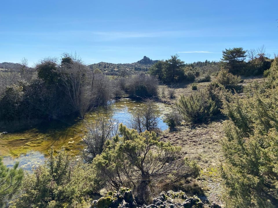 Natural landscape