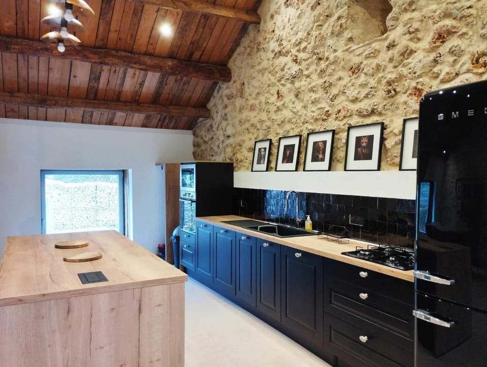 Kitchen or kitchenette, minibar, pet friendly, stove