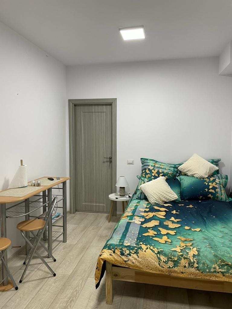 Studio nr 1 confort entry direct from parking Apartment in Romania