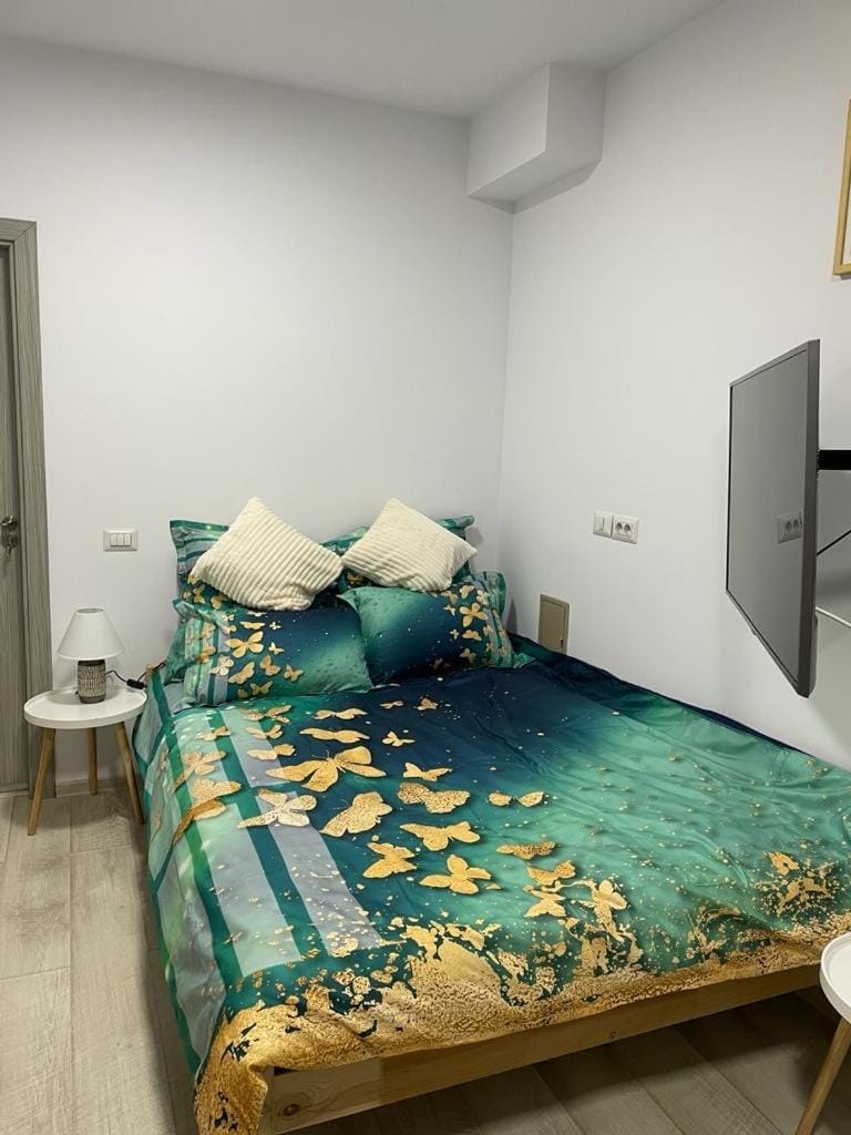 Studio nr 1 confort entry direct from parking Apartment in Romania
