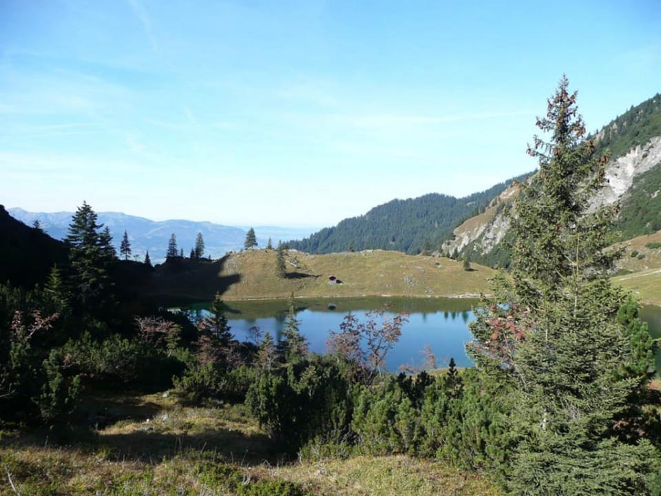 Natural landscape