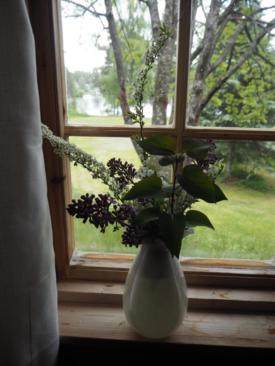 Garden view