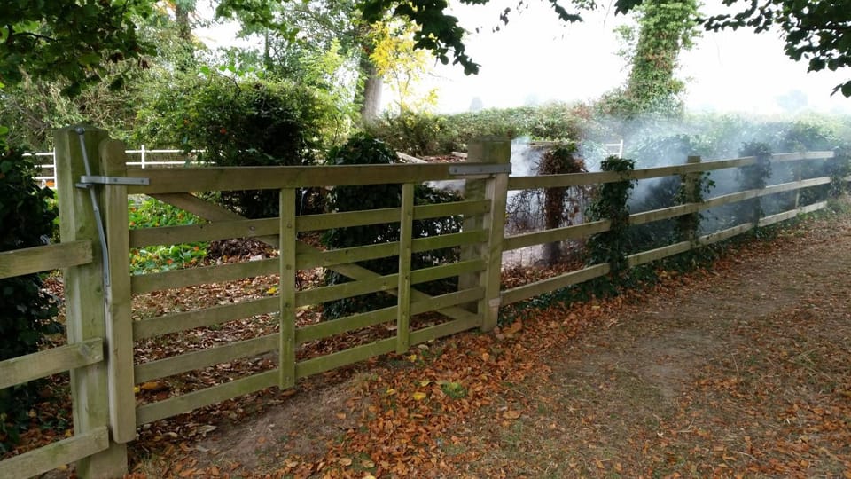 Ty Derw Country House B&B Bed and Breakfast in Wales