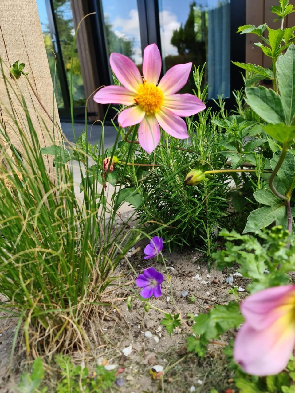 Day, Garden