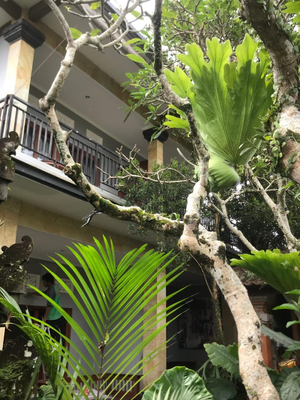 GUS ARDITYA HOMESTAY Vacation rental in Ubud