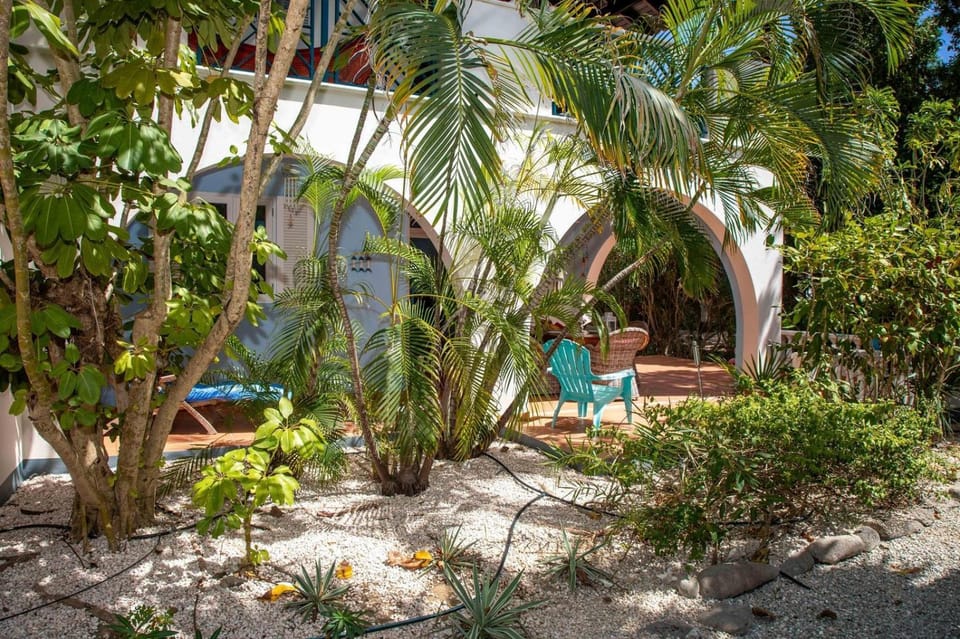Windsock Caribbean Dream Apartment in Venezuela