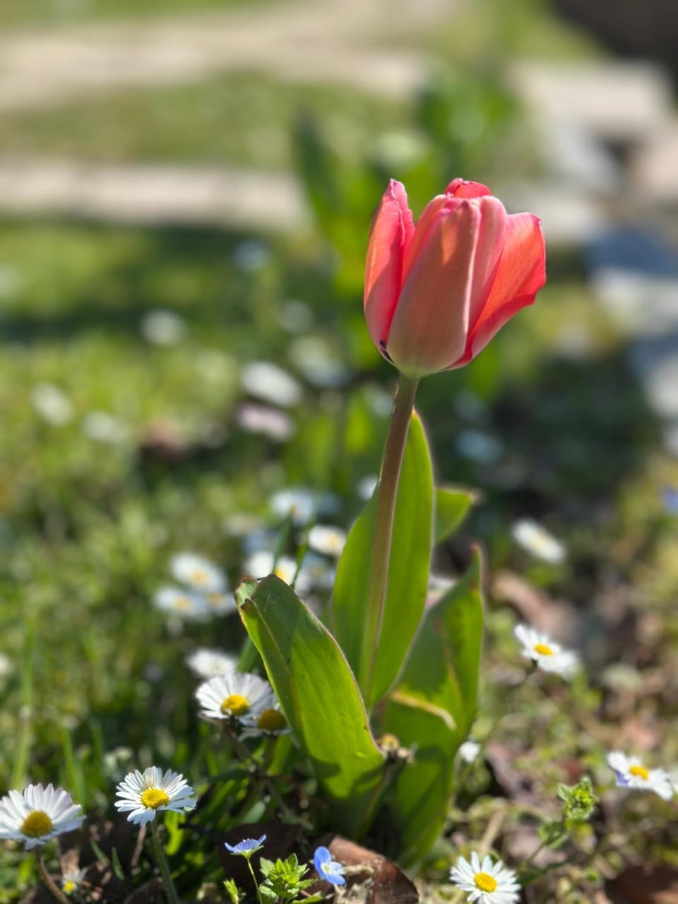 Holiday Home Sovenigo House in Province of Brescia