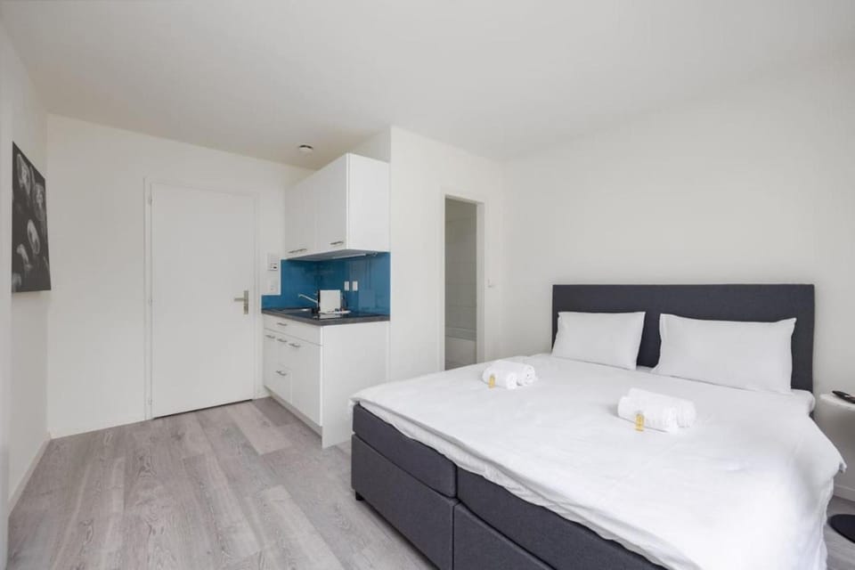 Urban Oasis with Queen Bed and View BE-24 Apartment in Zurich City