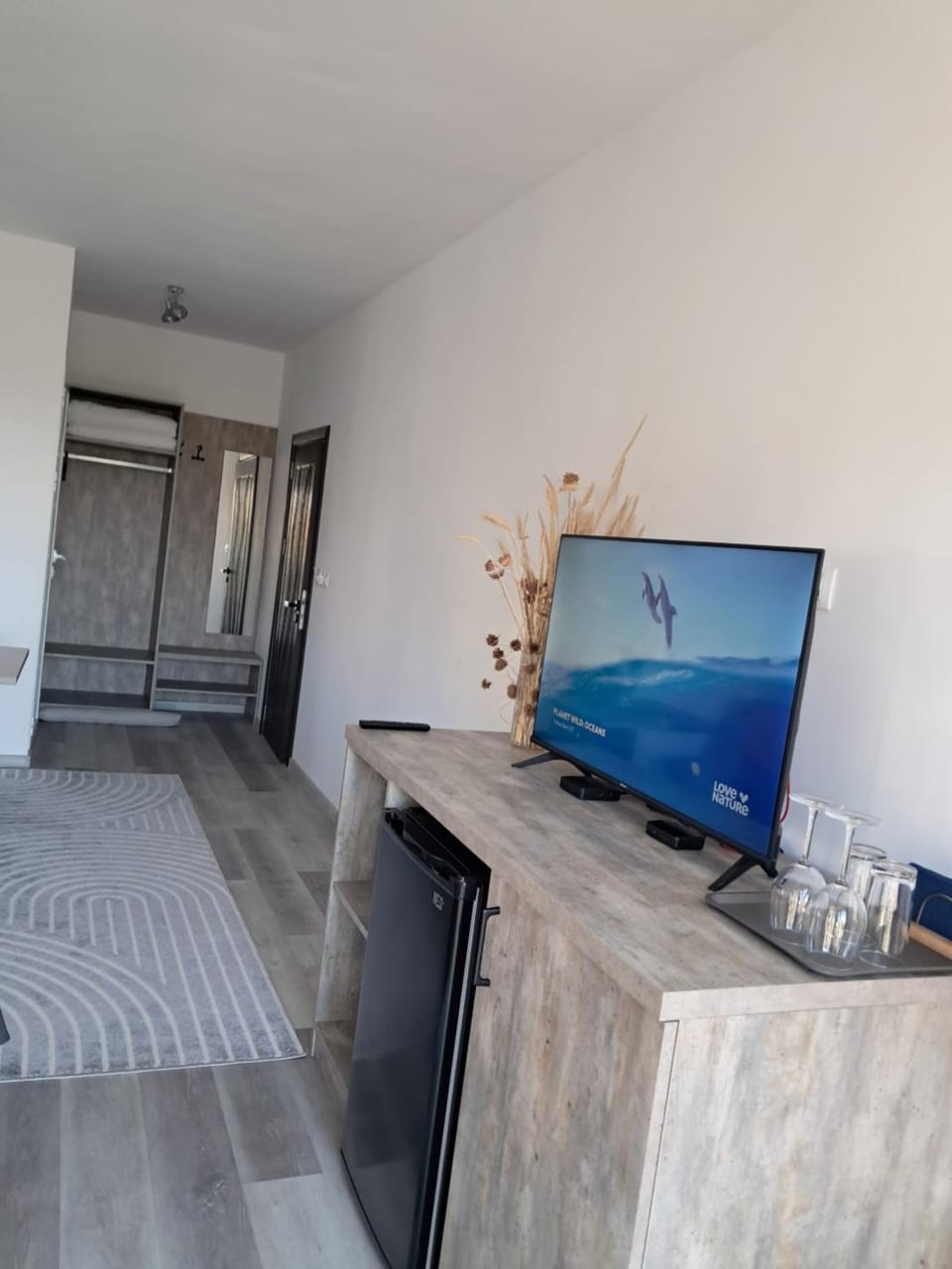 TV and multimedia