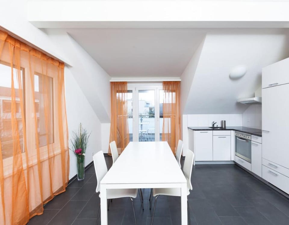 Sunrise Terrace 2,5 Room Apartment FR-31 Apartment in Zurich City