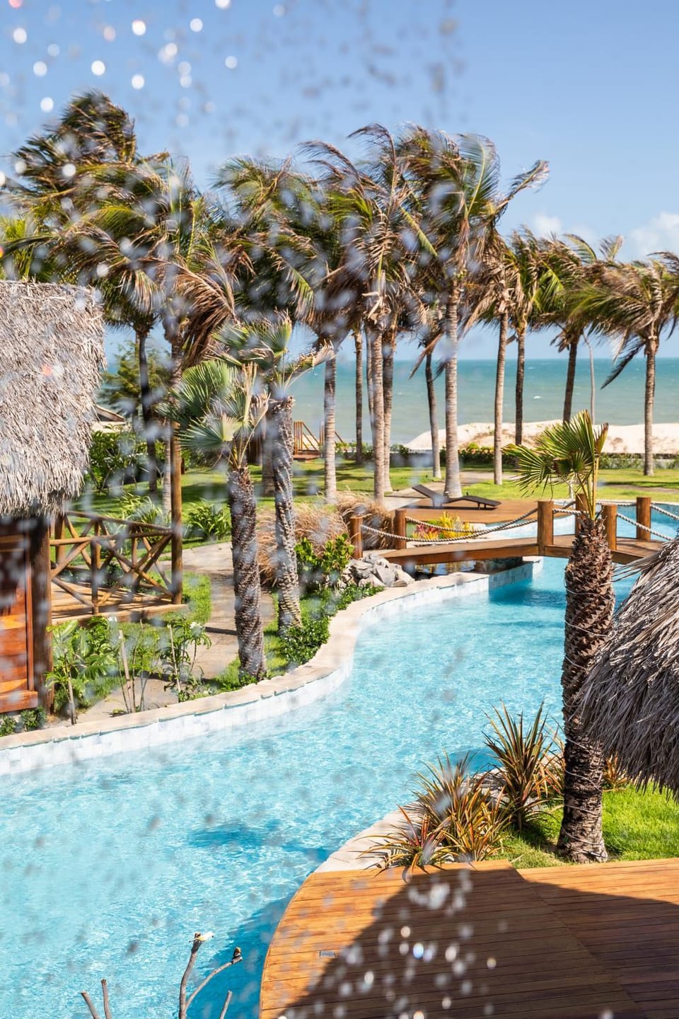 Day, Natural landscape, Garden, Garden, Garden view, Pool view, Sea view, Swimming pool