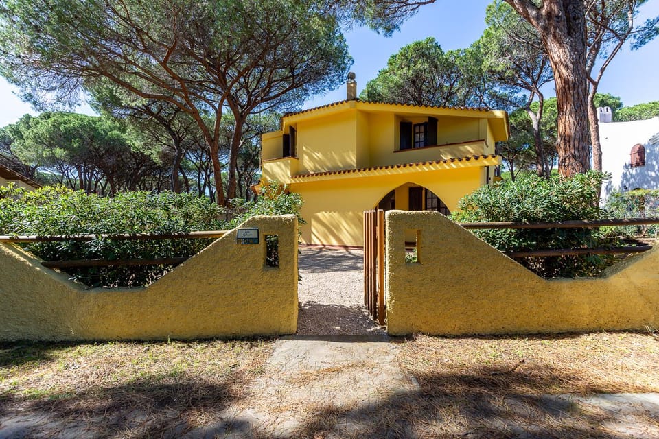Garden, Garden view