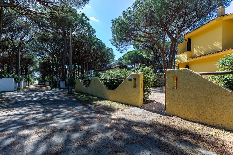 Property building, Spring, Day, Neighbourhood, Natural landscape, Street view