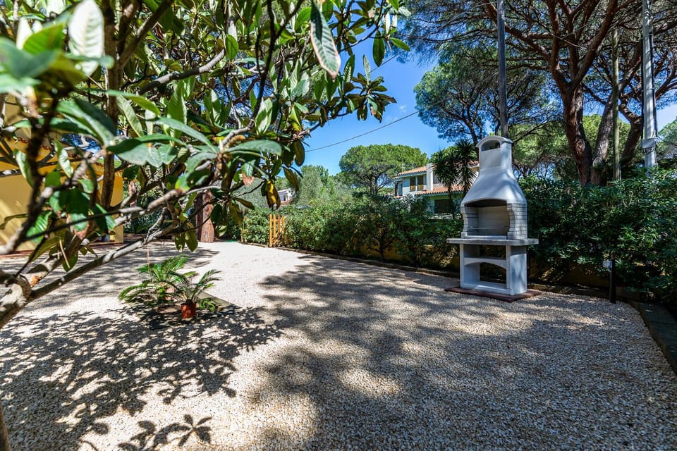 Garden, Garden view