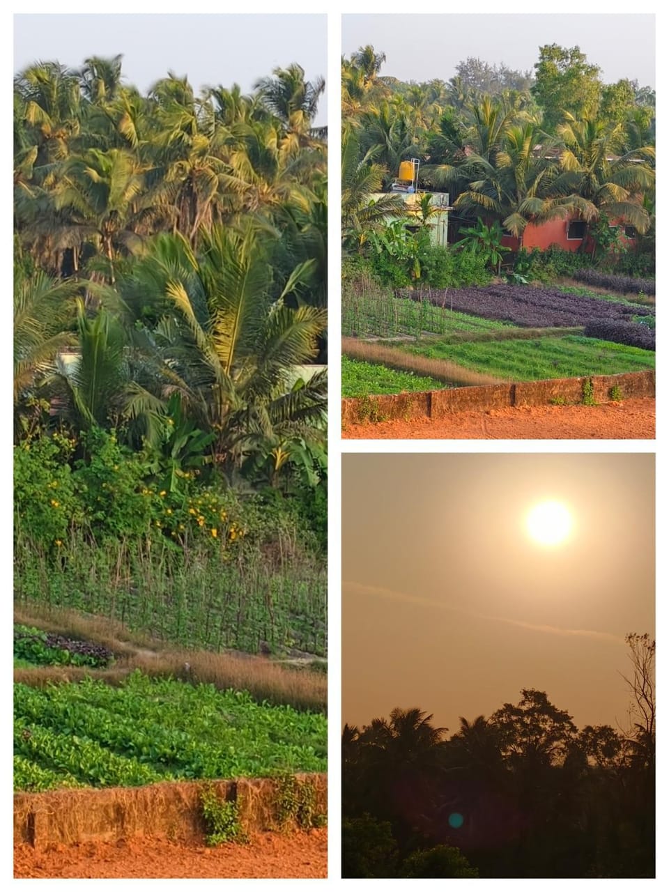Ocean pearl Homestay Kasarkod Honnavara Apartment in Karnataka