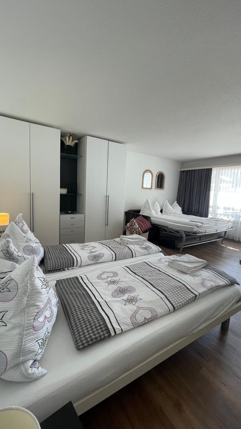 Studio Haus Castello Apartment in Canton of Valais