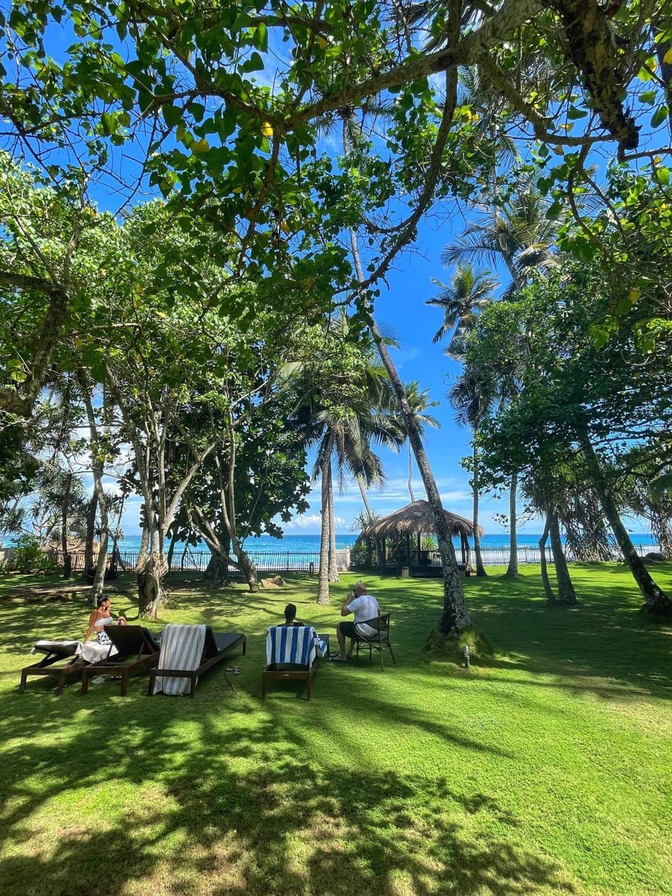 Garden, Garden view, Sea view