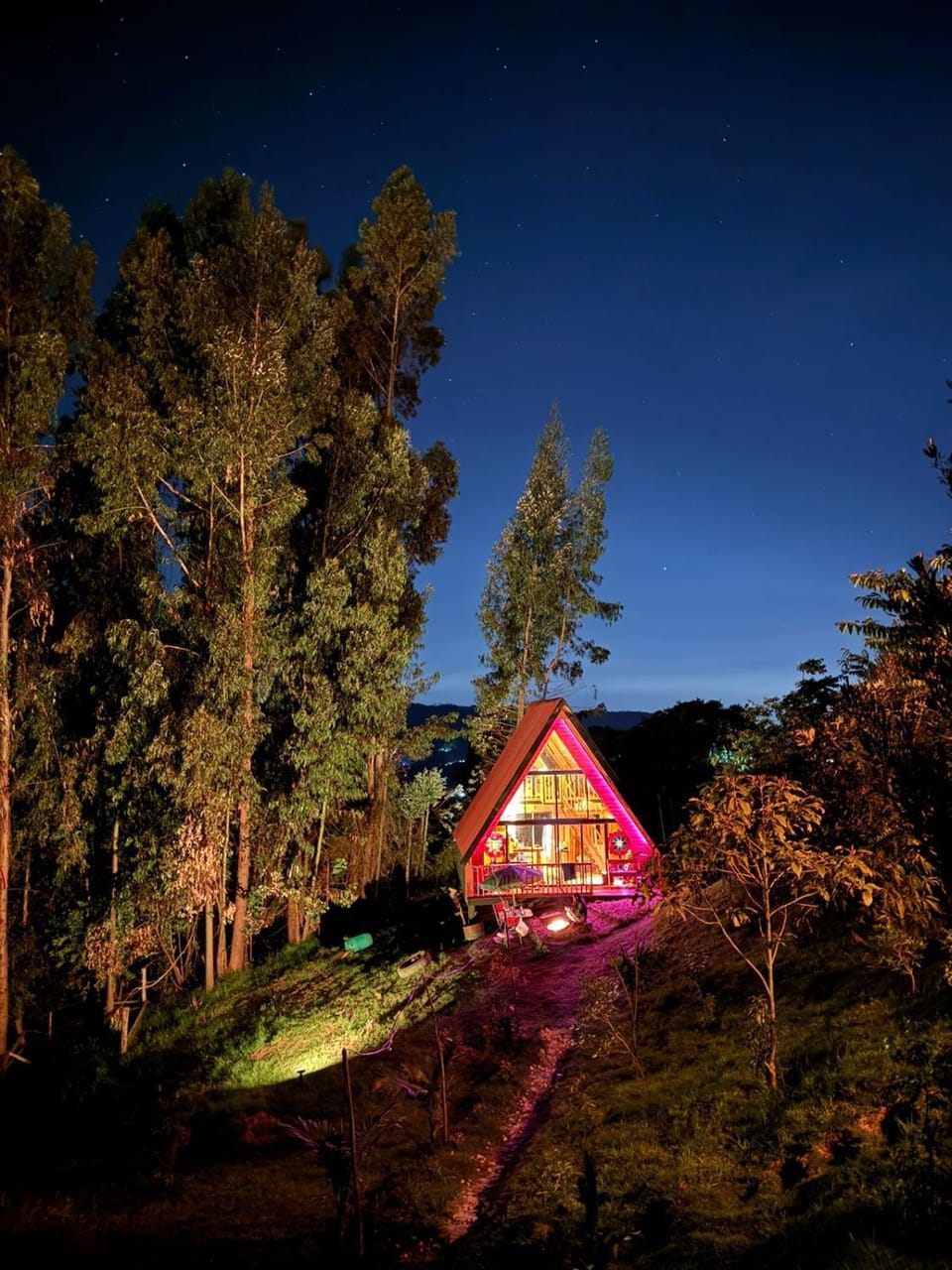 Night, Natural landscape, Garden