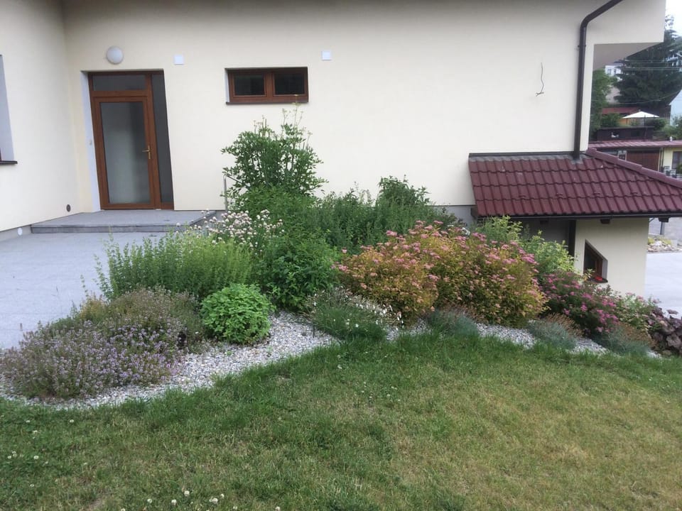 Garden, View (from property/room), Garden view