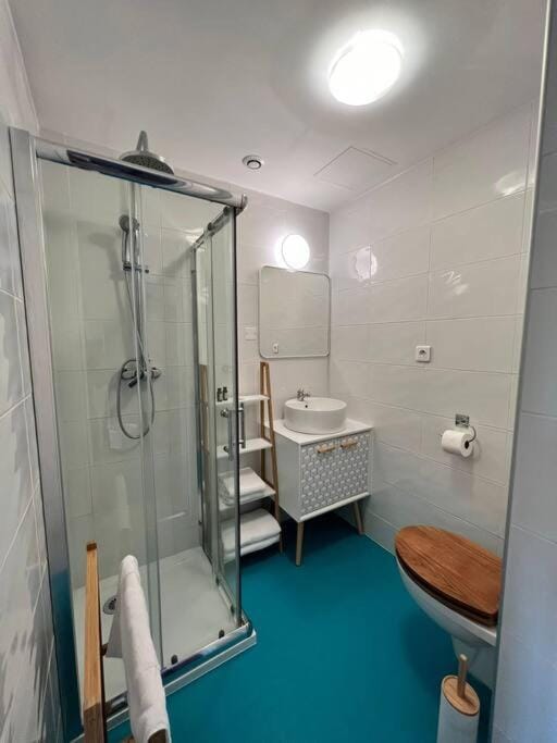 Shower, Toilet, Bathroom, towels