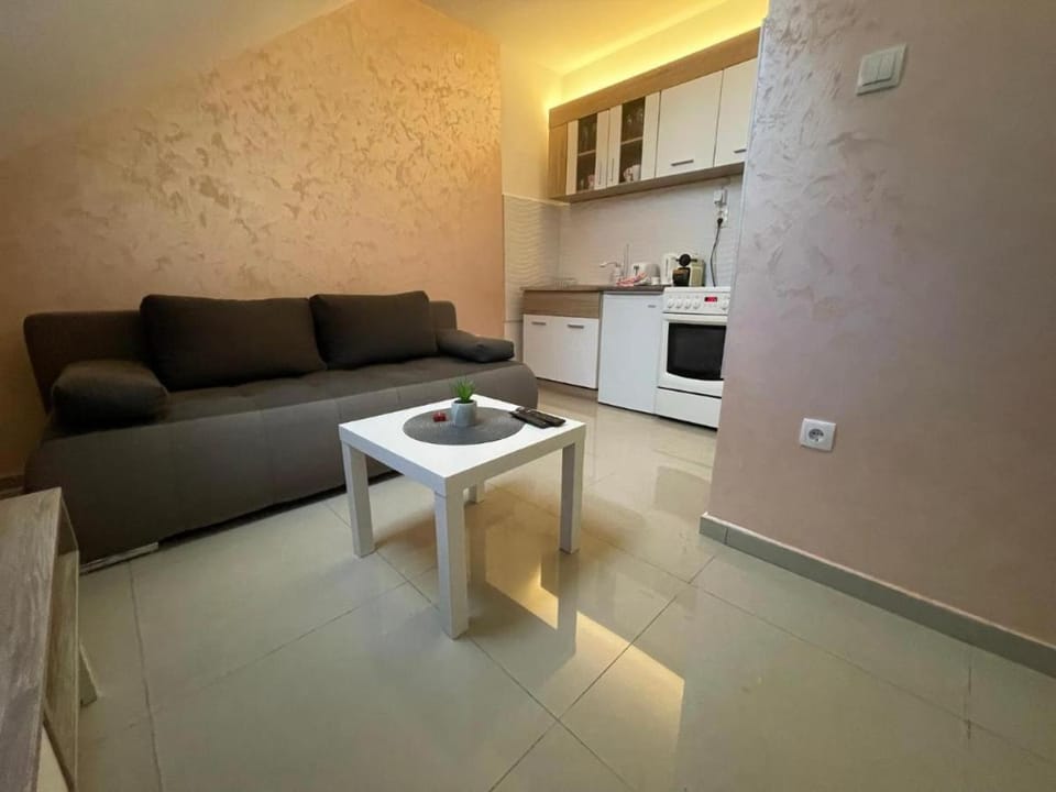 Apartman 1 Apartment in Vojvodina