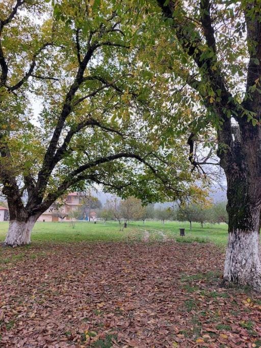 Natural landscape