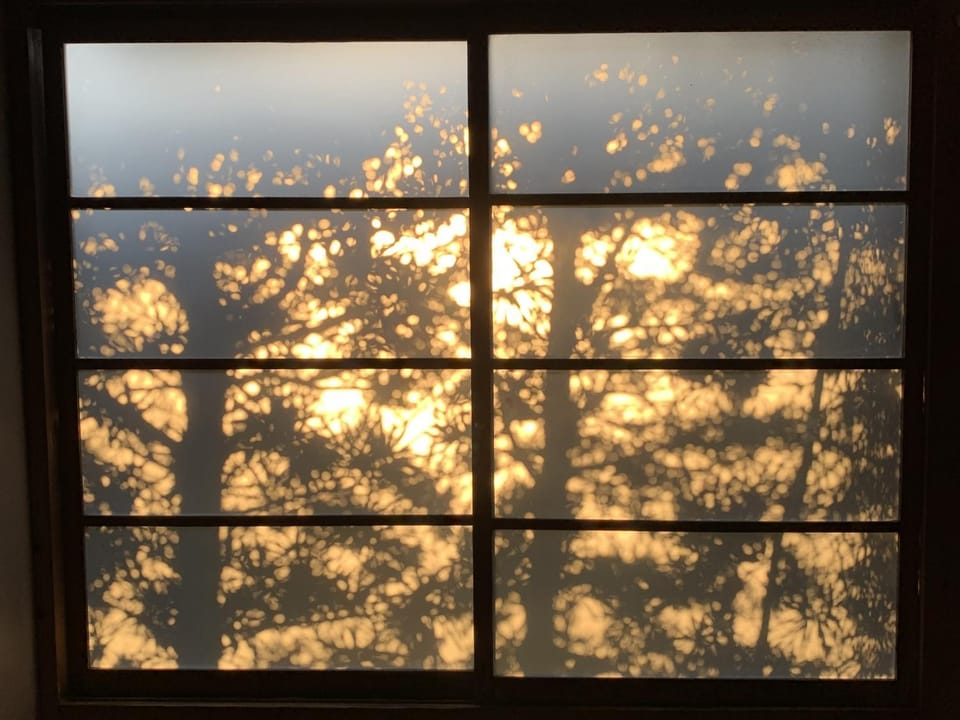 Natural landscape, Sunset