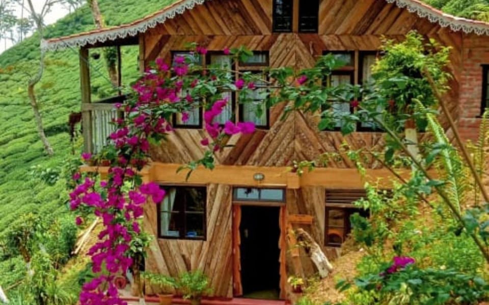 Day, Garden