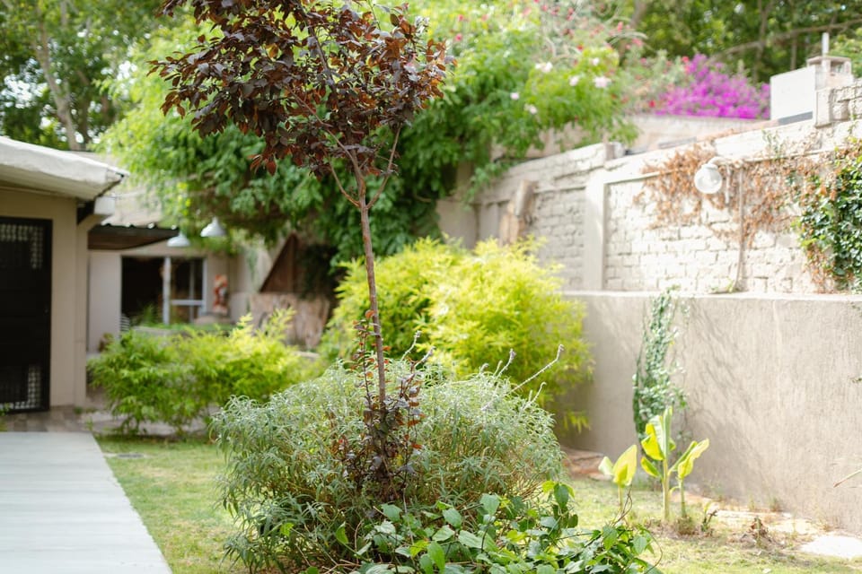 "Casa Amalia Apartamentos" Plaza Italia y Av Arístides a 50mts, lugar con jardín Apartment in Mendoza