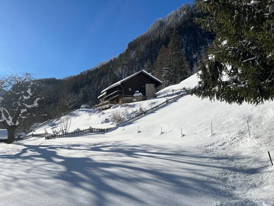 Grand Chalet du Mayen de Planraveire Apartment in Canton of Valais