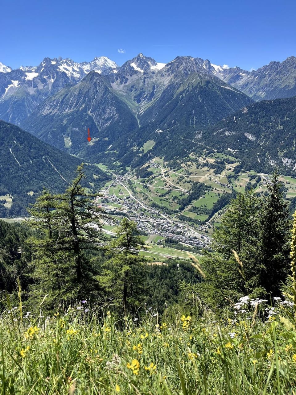 Grand Chalet du Mayen de Planraveire Apartment in Canton of Valais