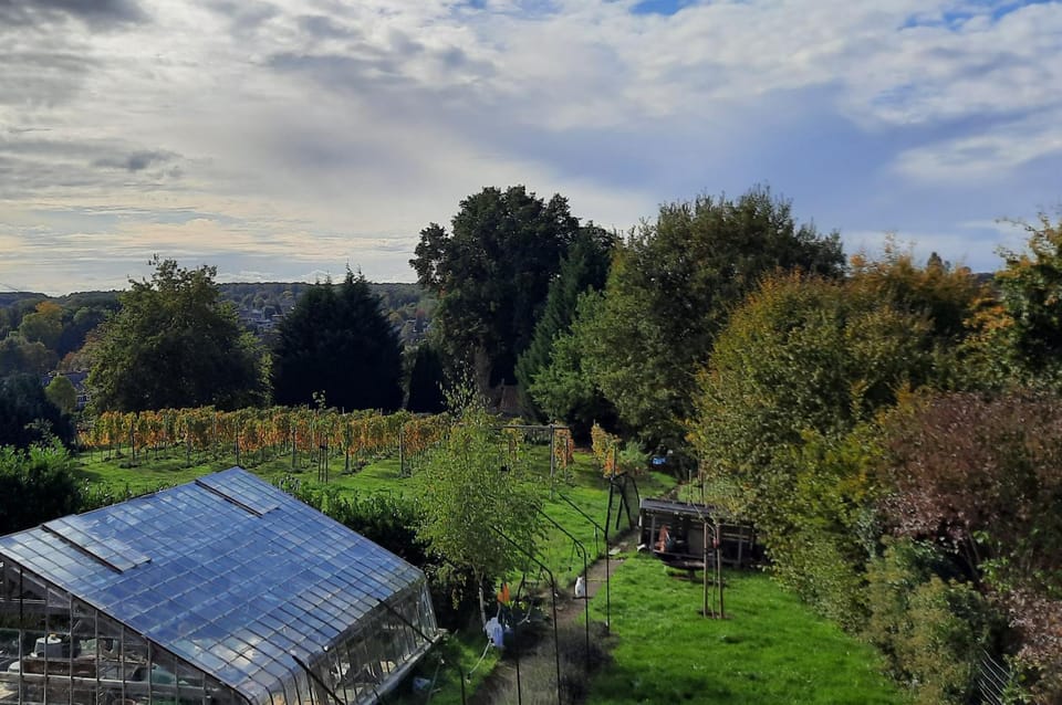 View (from property/room), Garden view