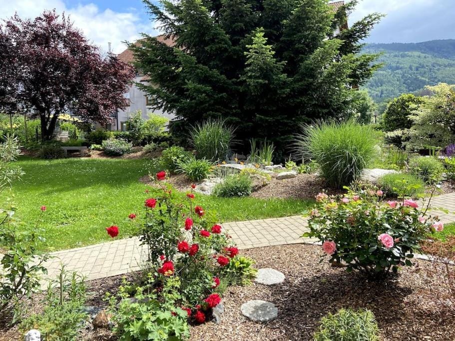 Garden, Garden
