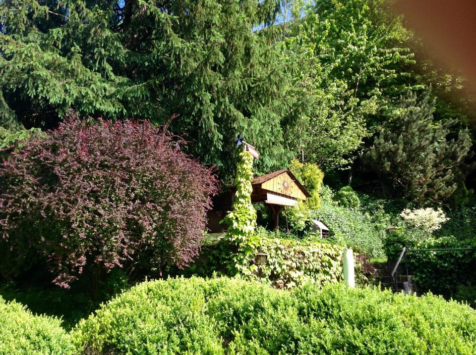 Bird's eye view, Garden, Garden view