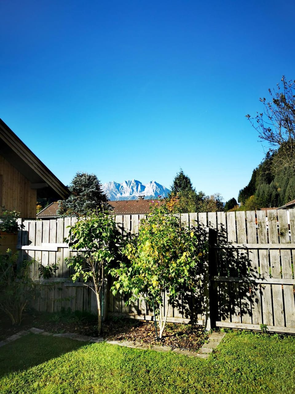 Summer, Garden, Garden view, Mountain view
