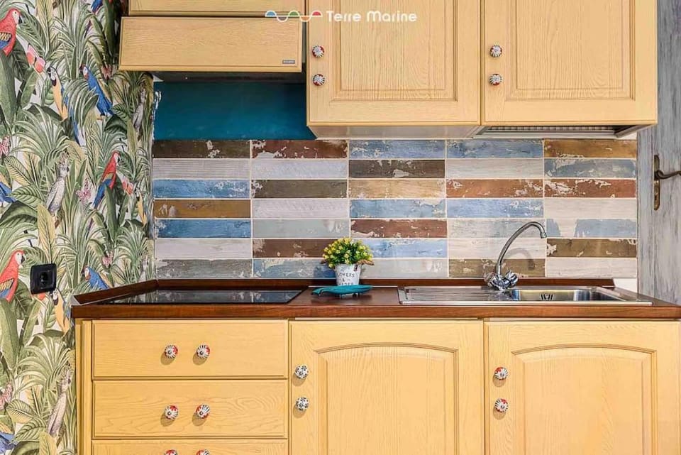 Basilico e Papaja, Terre Marine Apartment in Monterosso al Mare