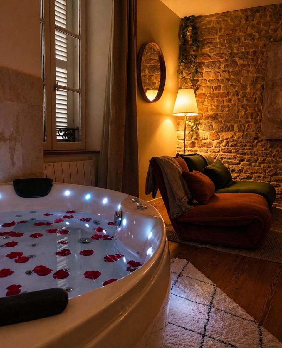 détente centre historique de MÂCON avec spa et ciné Apartment in Bourgogne-Franche-Comté