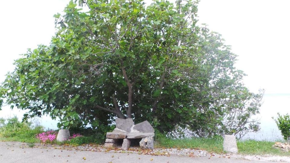 Natural landscape
