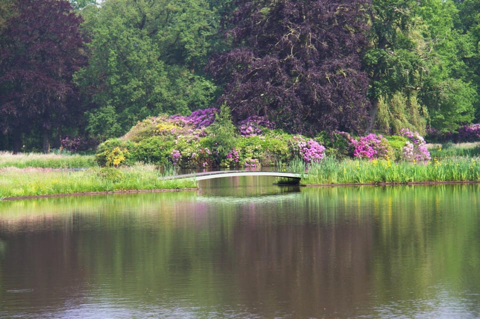 View (from property/room), View (from property/room)
