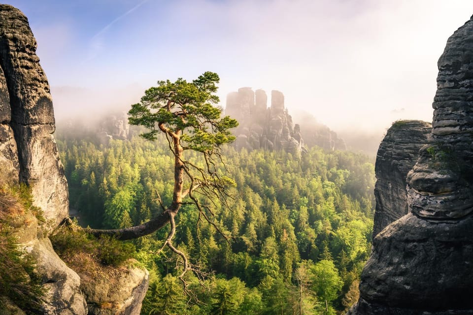 Ferienquartier- Forsthaus Apartment in Sächsische Schweiz-Osterzgebirge
