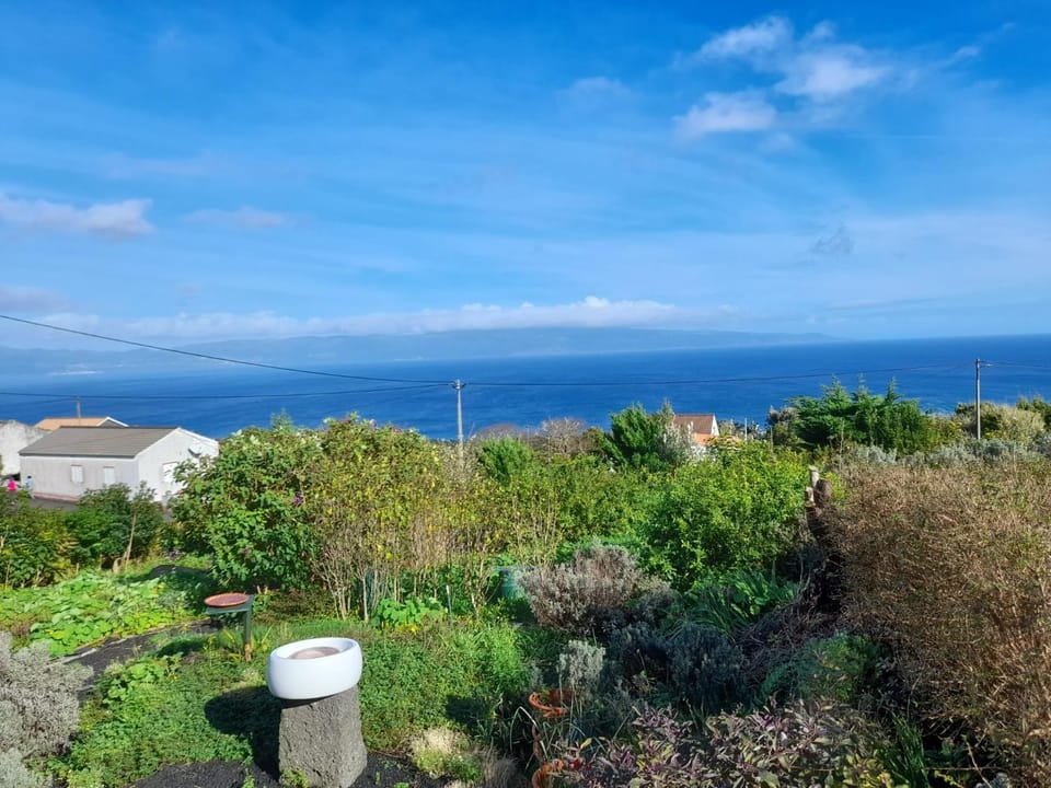 Natural landscape, Garden, Garden view, Sea view
