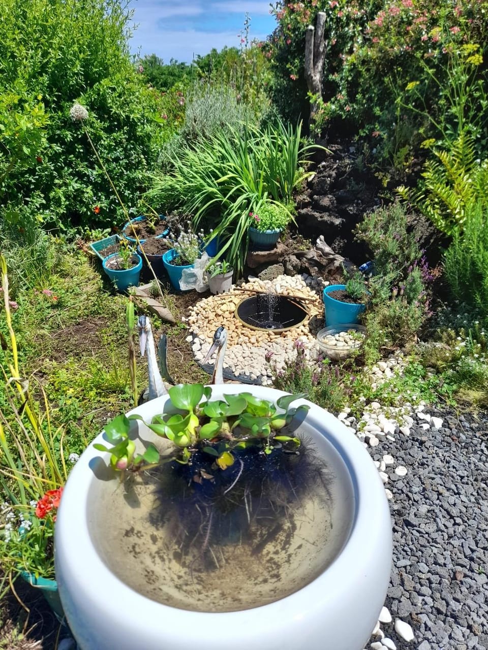 Garden, Garden view