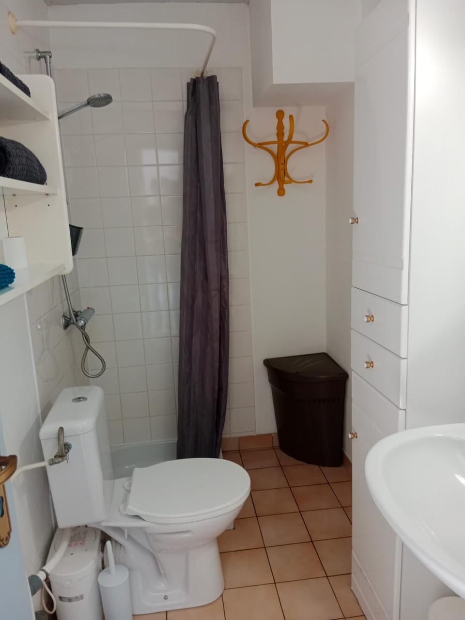 Shower, Toilet