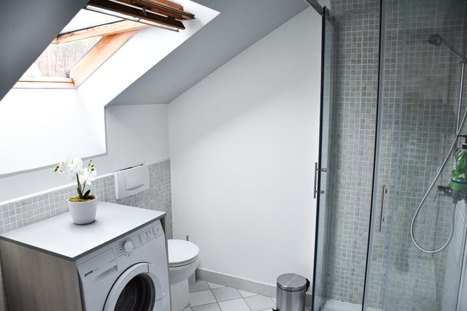 Shower, Toilet, Bathroom, washing machine