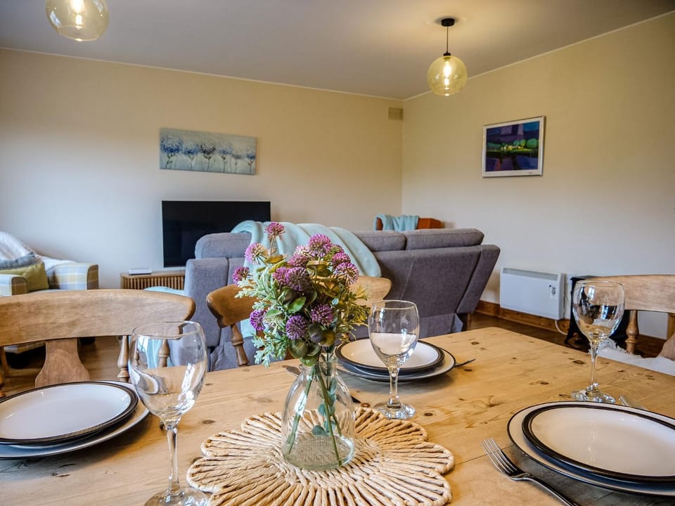Central Dingle Stay Apartment in Dingle